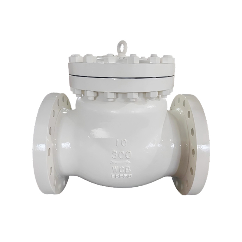 Backflow Prevention Flange Check Valve
